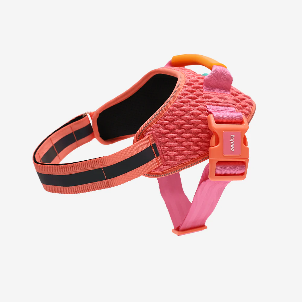 Gazelle | FlyHarness - Image 3