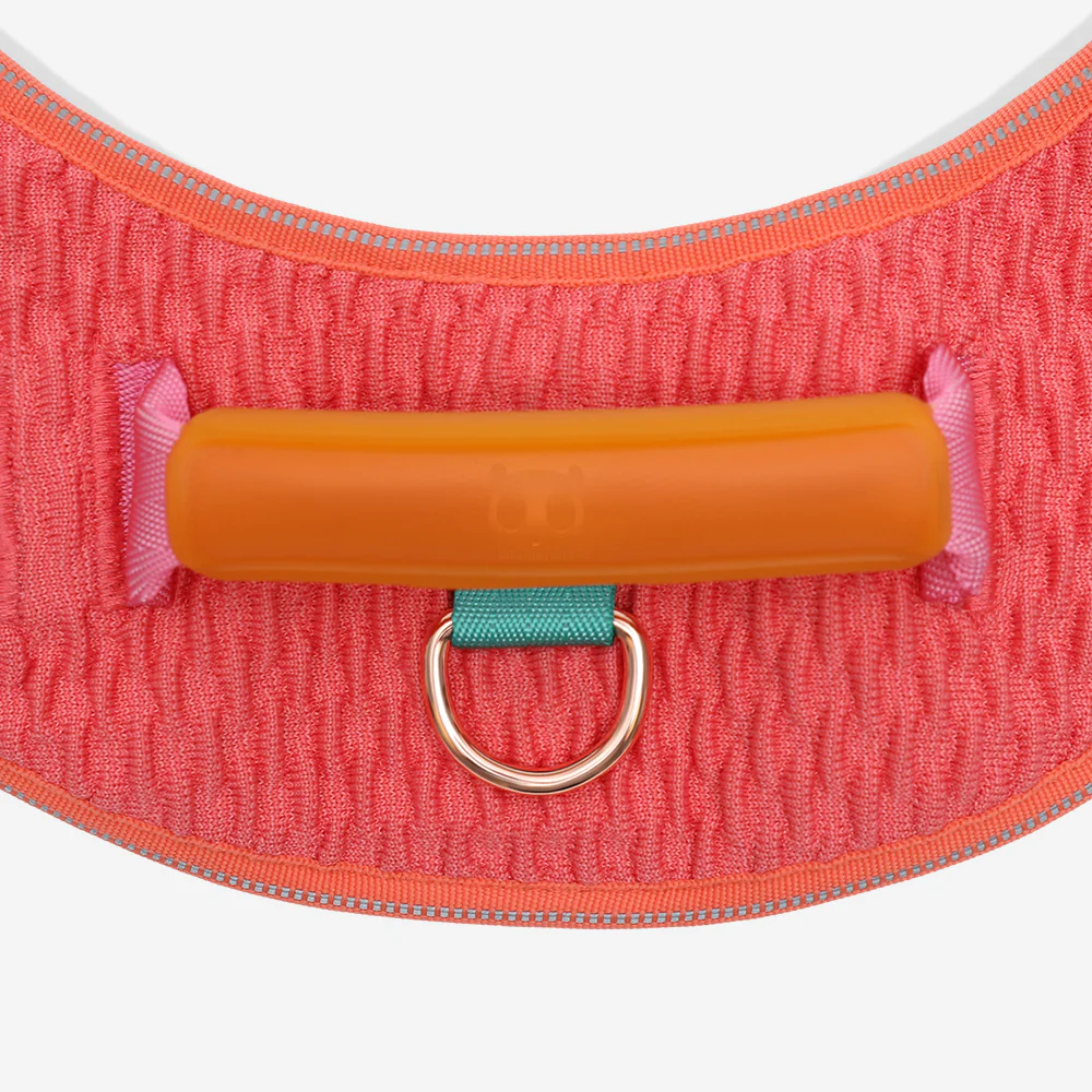 Gazelle | FlyHarness - Image 4