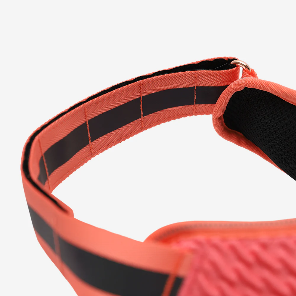 Gazelle | FlyHarness - Image 5