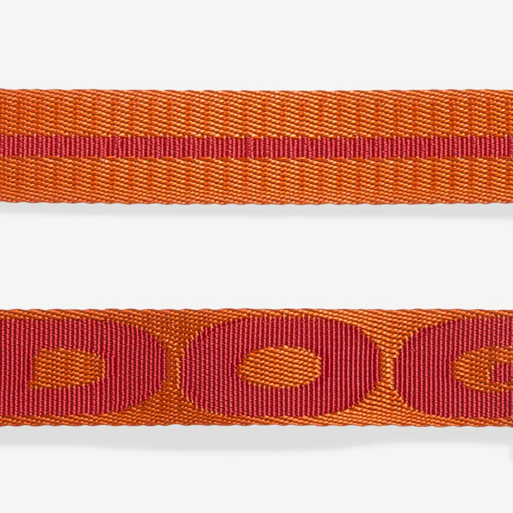 Gibson | Leash - Image 6