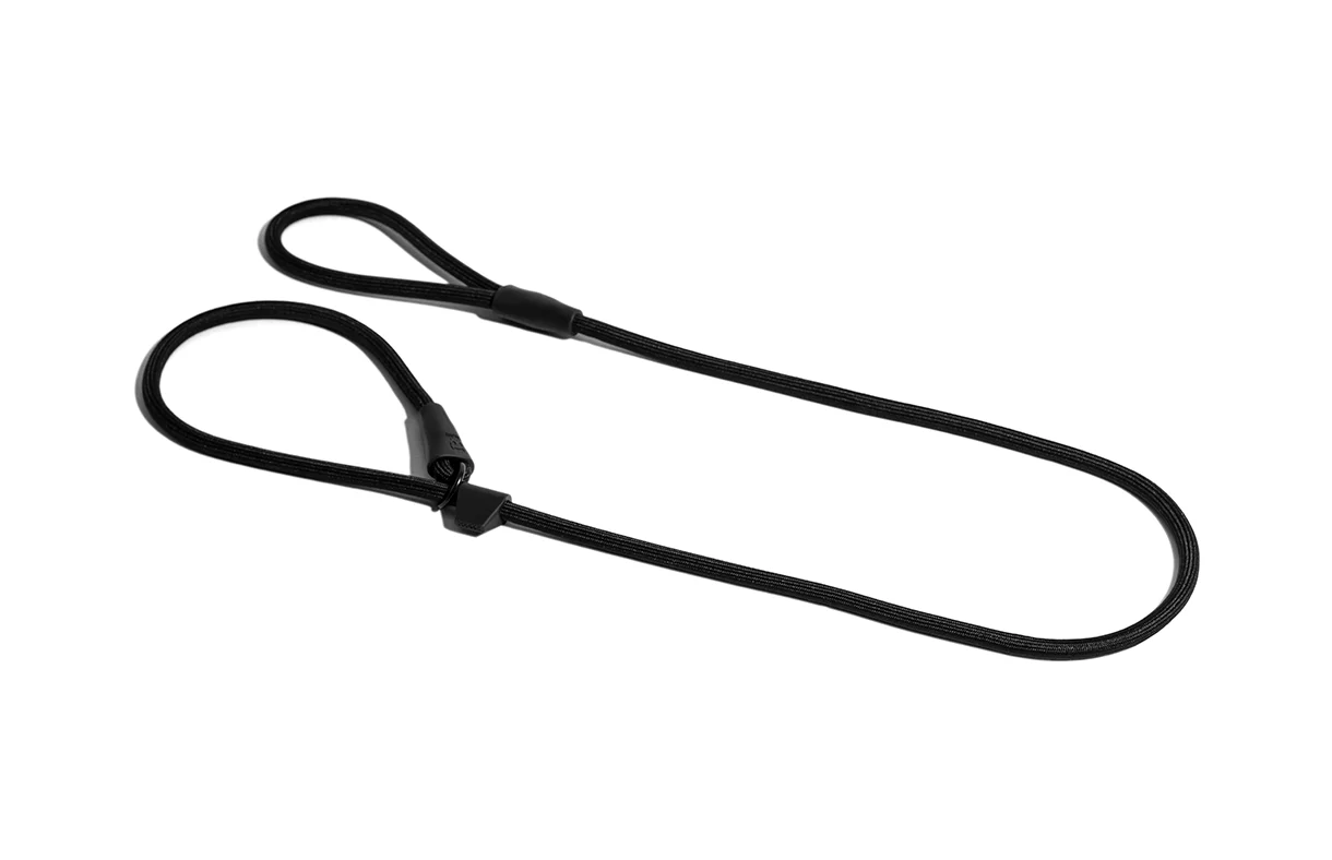 Gotham | Slip-on Leash - Image 7