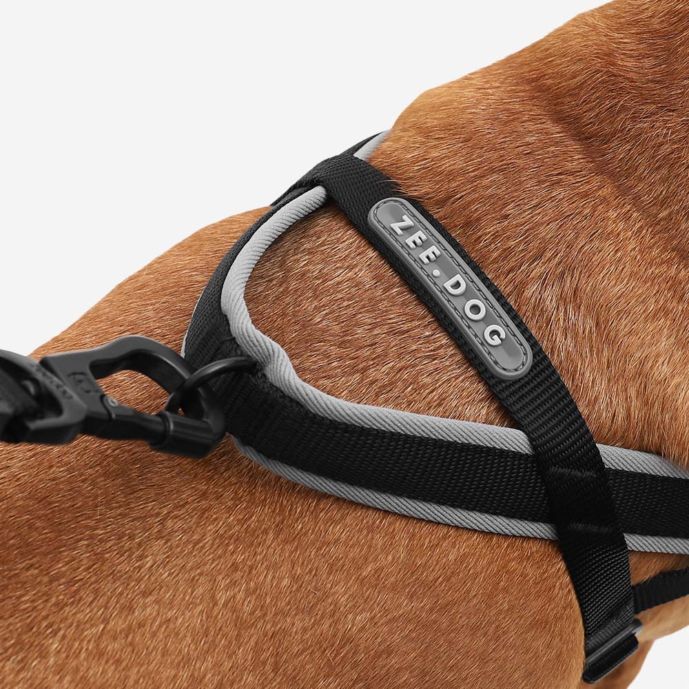 Gotham | SofterWalk Harness - Image 5