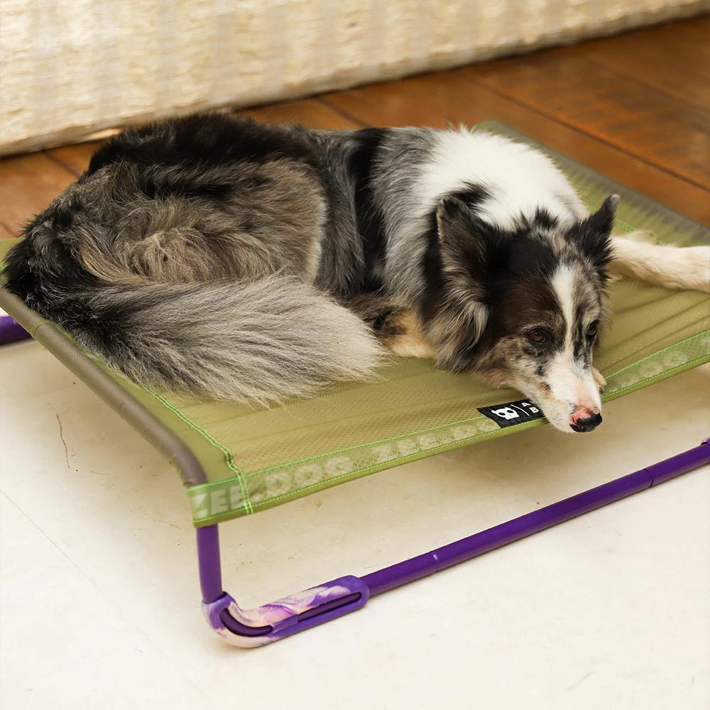 Green | Air.Bed - Image 3