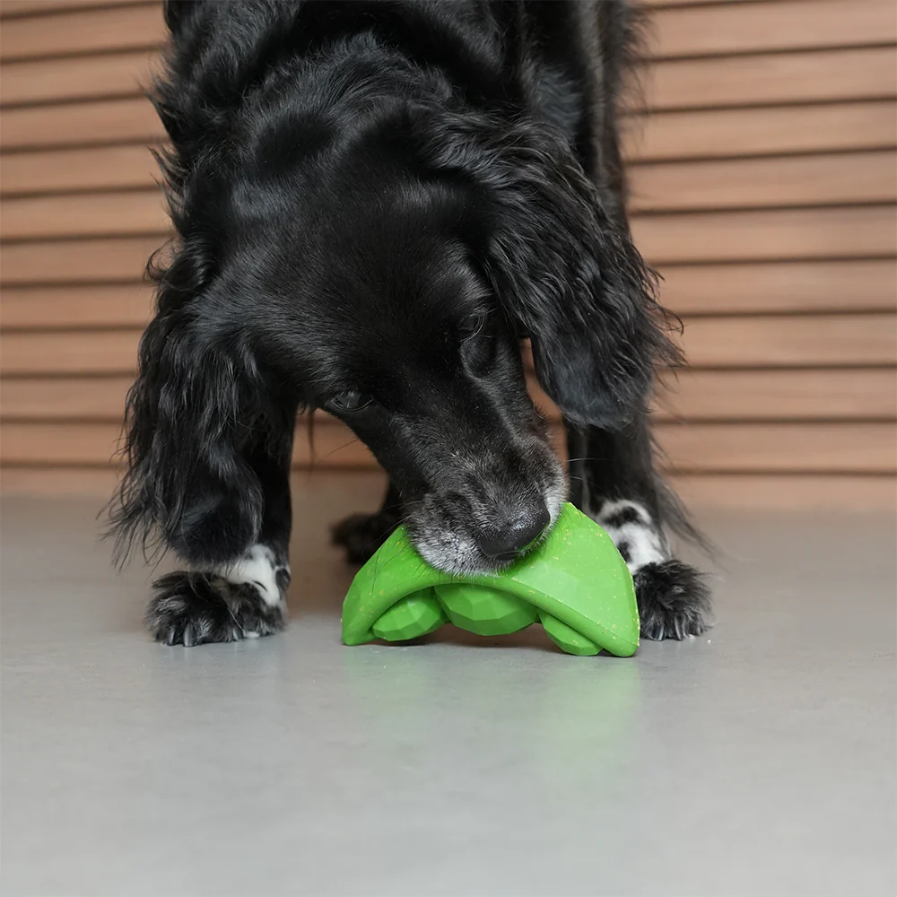 Green Bean  | Treat Dispensing Dog Toy - Image 3