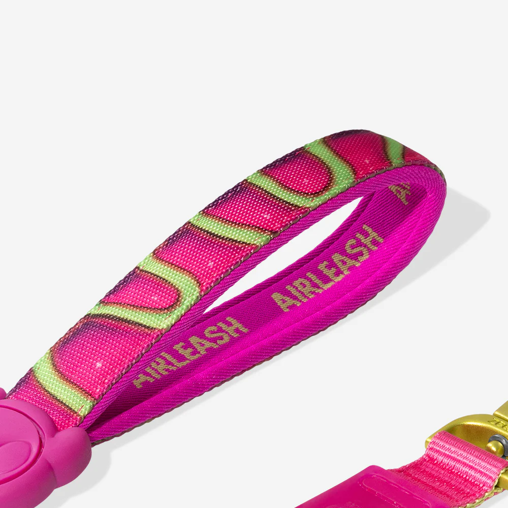 H3D Jelly | Airleash - Image 3