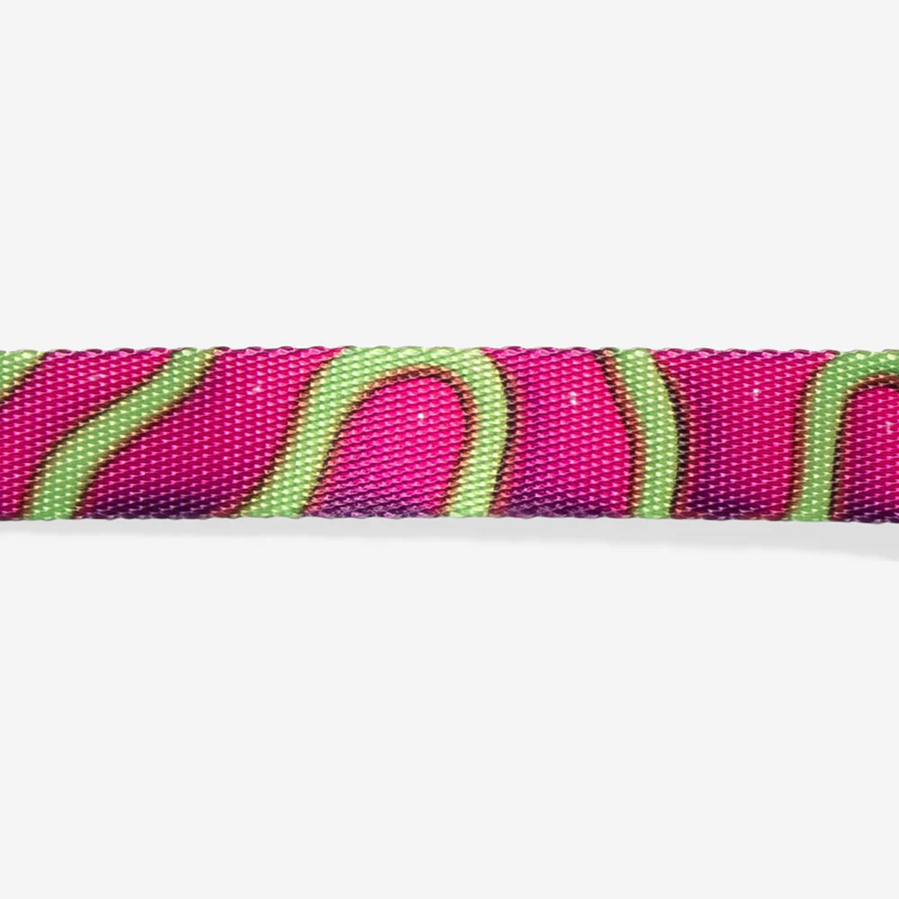 H3D Jelly | Collar - Image 4