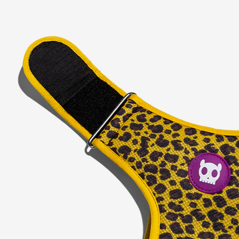 Honey | Adjustable Air Mesh Harness - Image 5