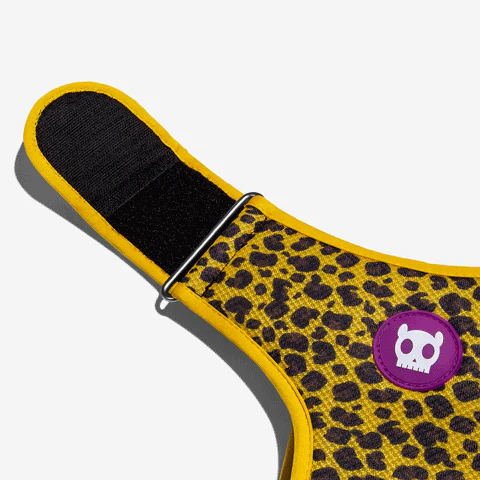 Honey | Adjustable Air Mesh Harness - Image 7