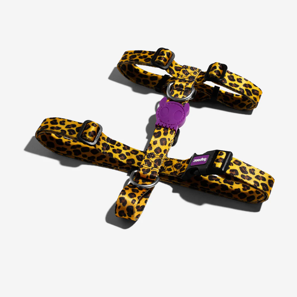 Honey | H Harness - Image 3