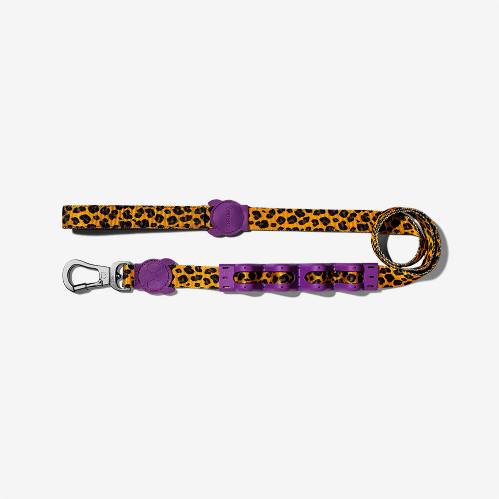 Honey | Ruff Leash 2.0 - Image 3