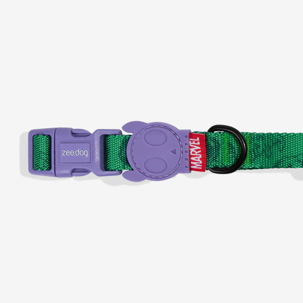 Hulk | Collar - Image 2