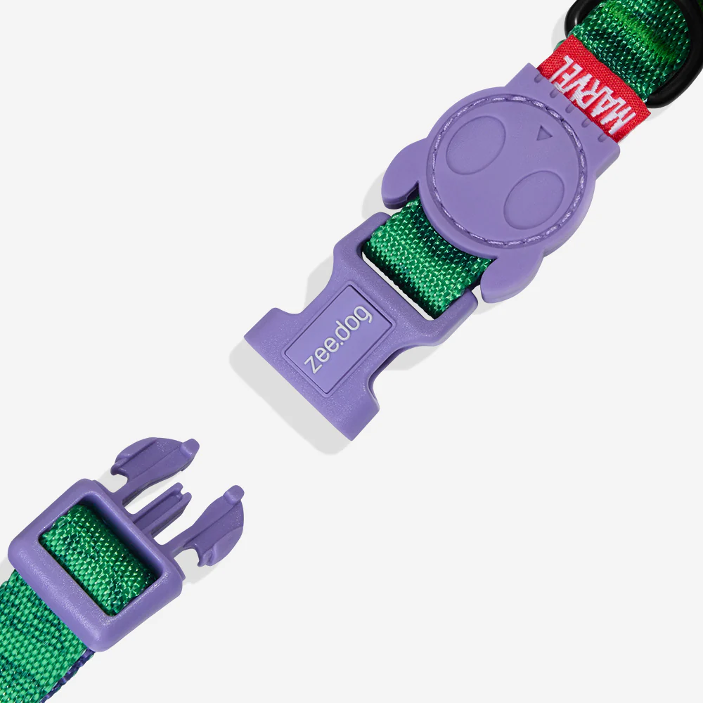 Hulk | Collar - Image 3