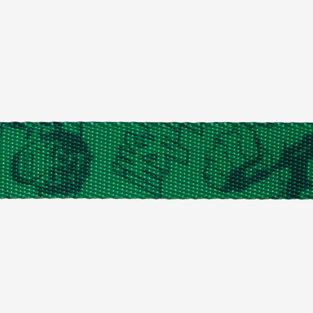 Hulk | Collar - Image 4