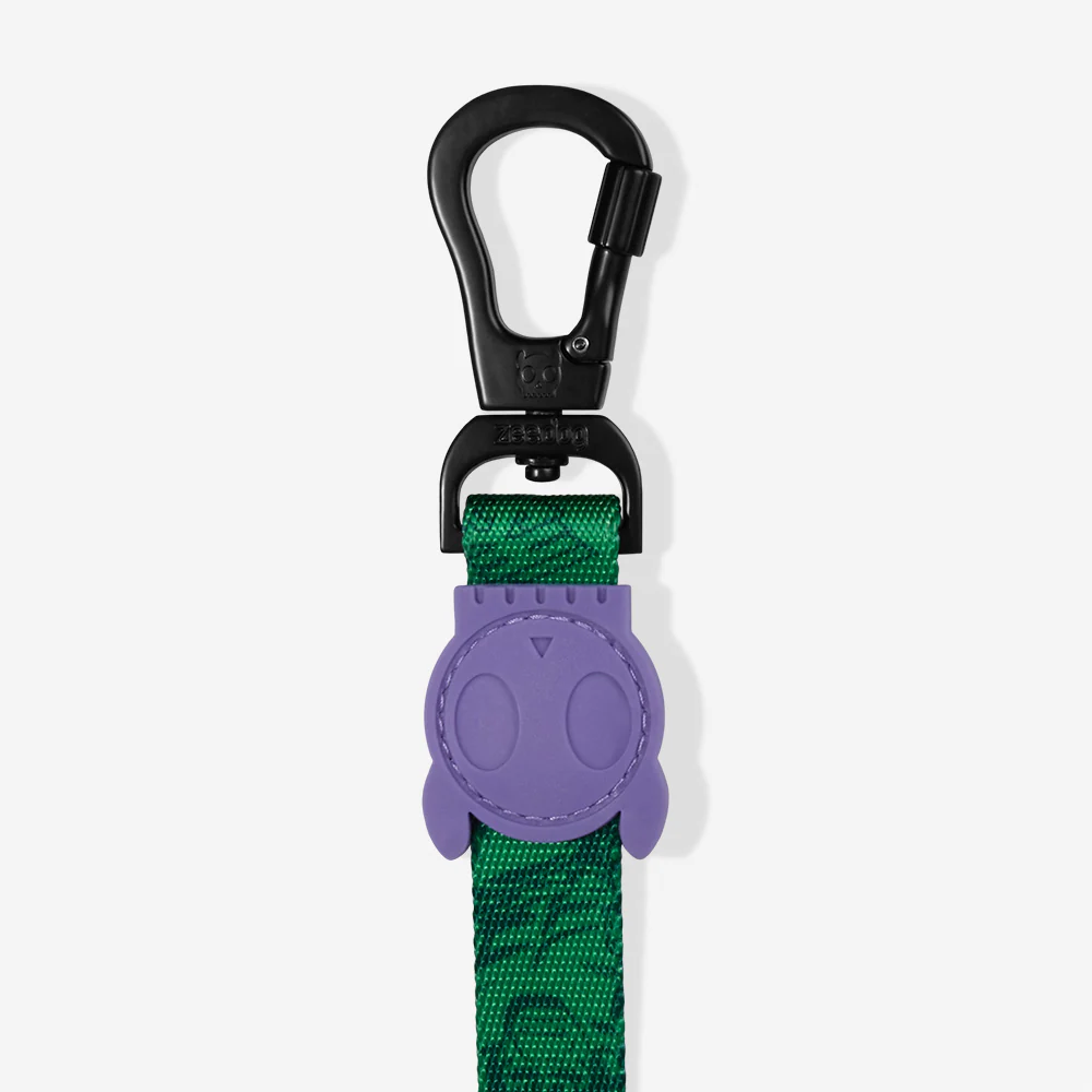 Hulk | Leash - Image 2