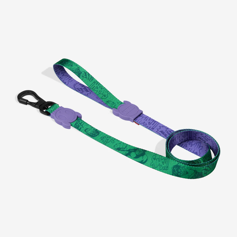 Hulk | Leash - Image 3