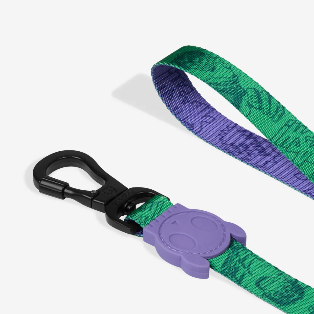 Hulk | Leash - Image 4