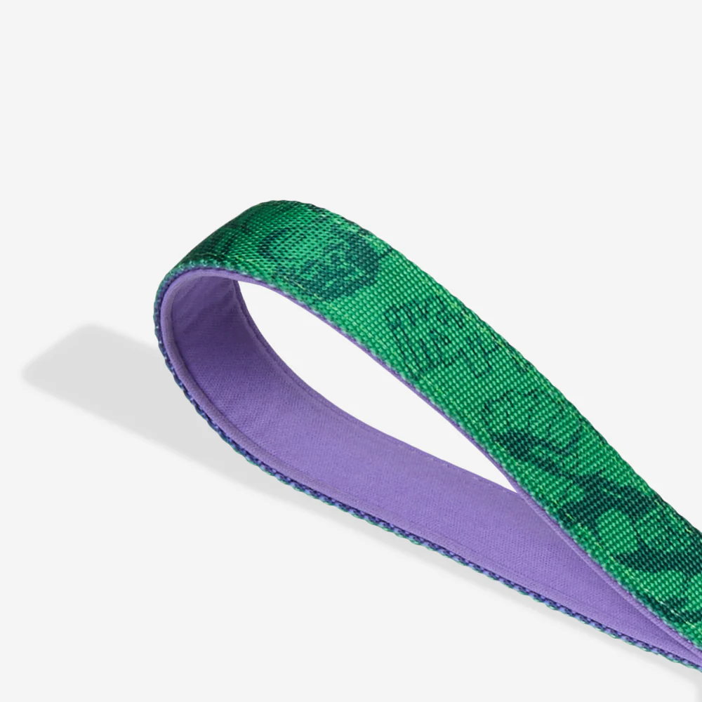 Hulk | Ruff Leash 2.0 - Image 2