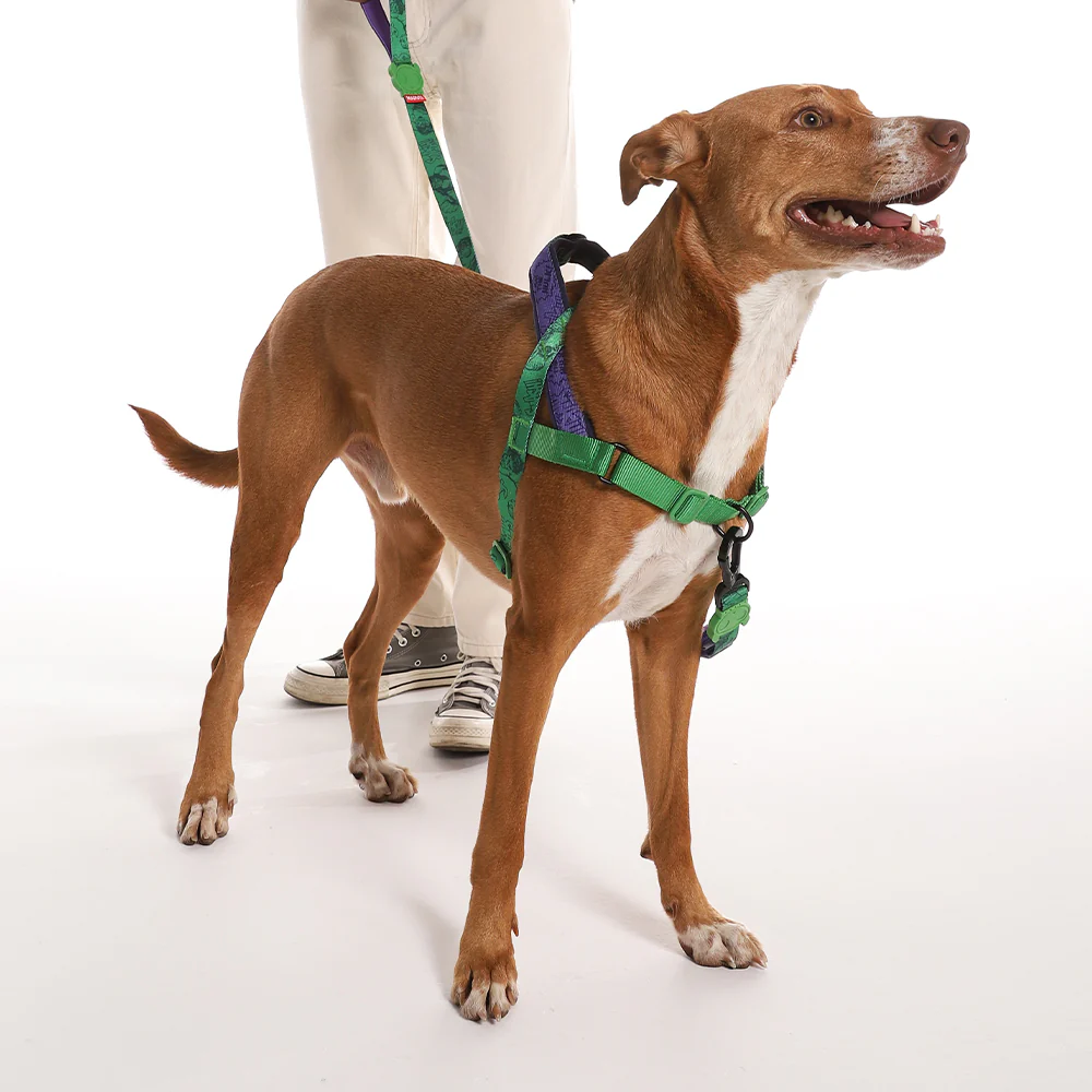 Hulk | SofterWalk Harness - Image 2