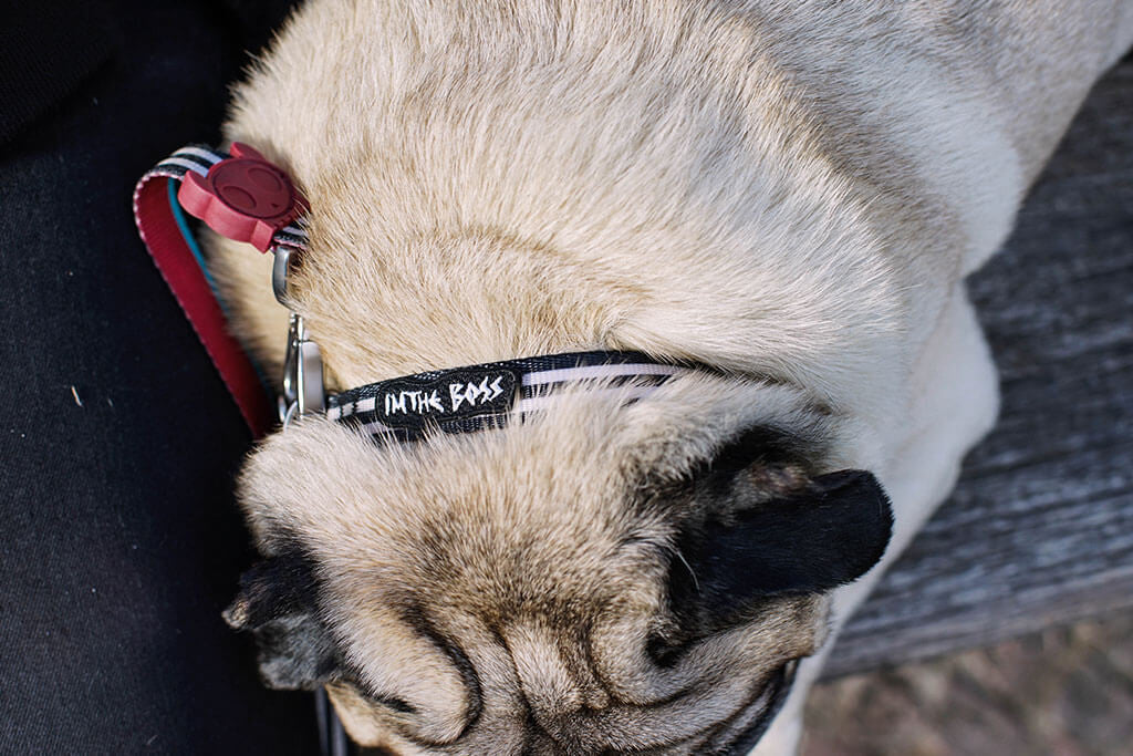 Mini Im The Boss | Patch - Image 10