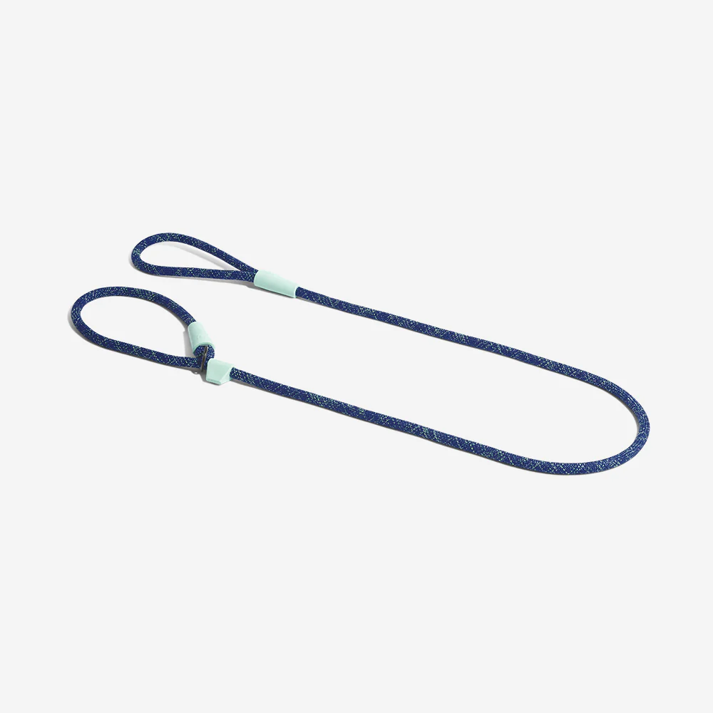 Indigo | Slip-on Leash