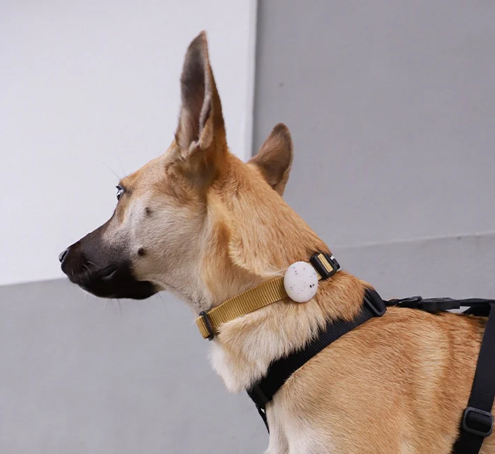 Jelly | AirTag Holder - Image 4