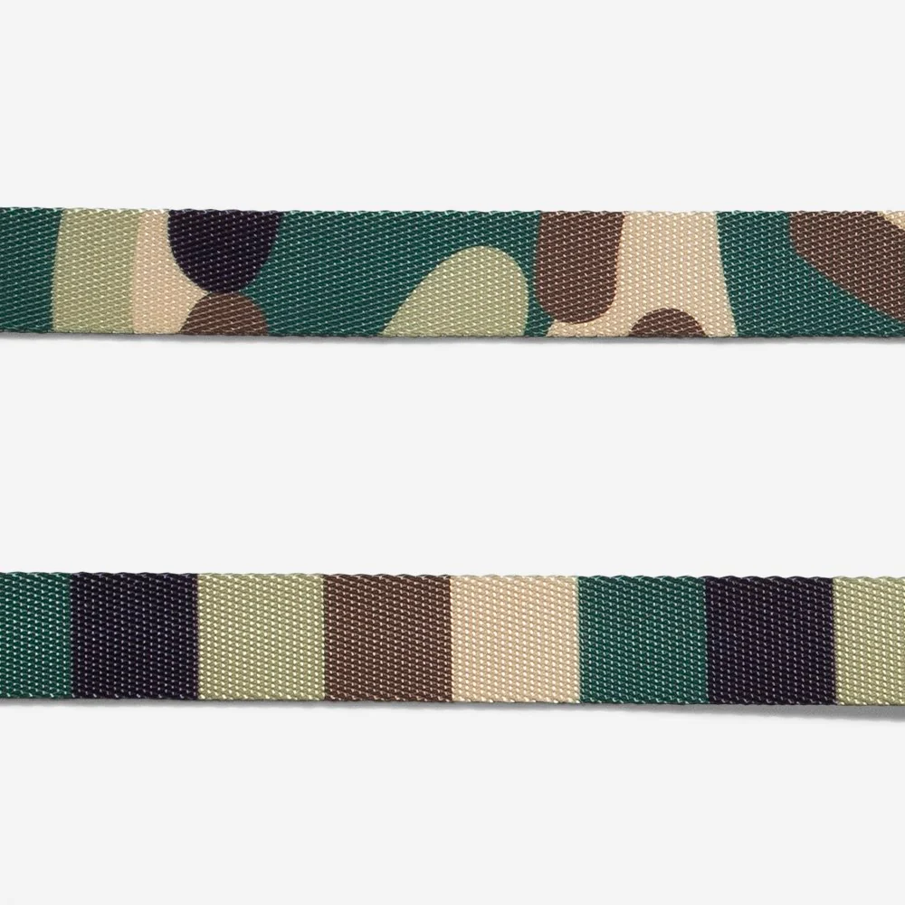 Jet | Leash - Image 6