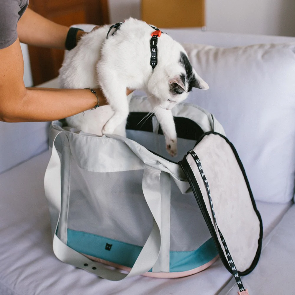 Kombucha | Cat Carrier Bag - Image 3