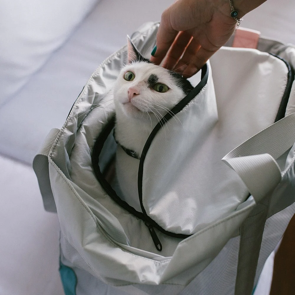 Kombucha | Cat Carrier Bag - Image 4