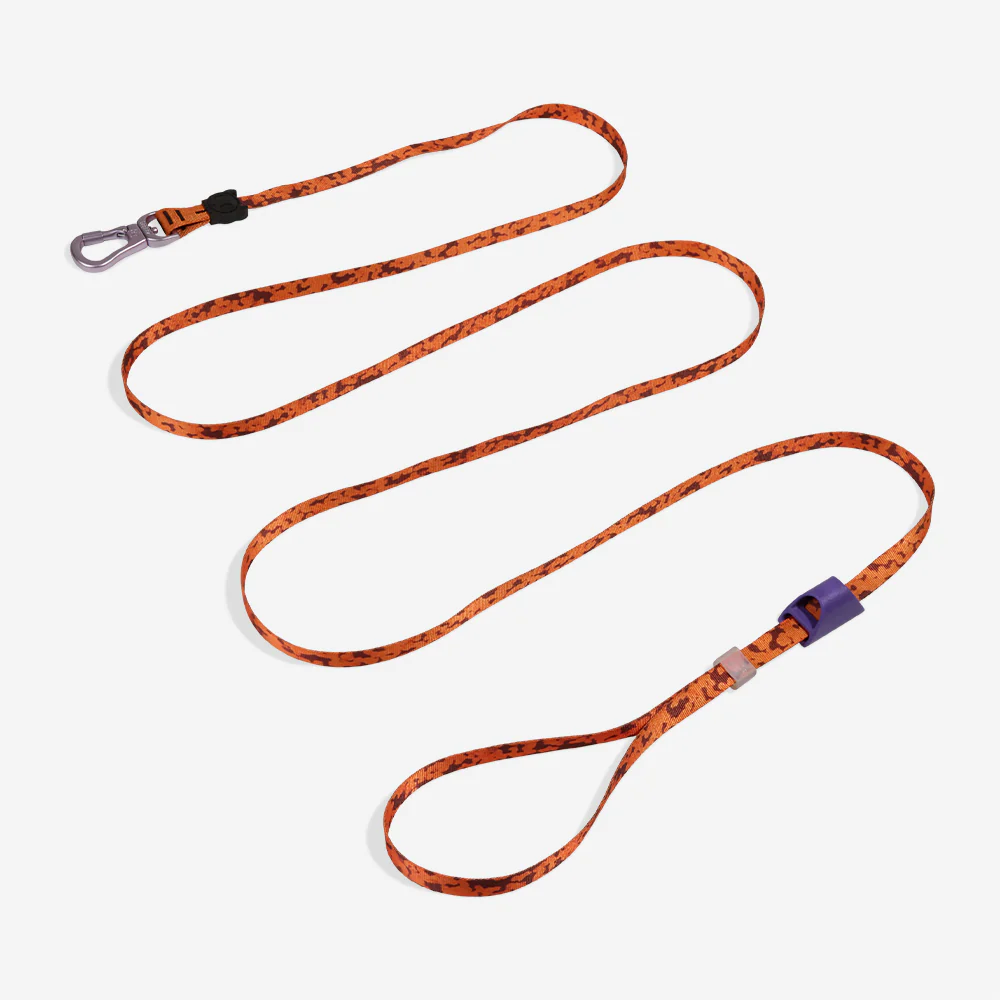 Leopard | Long Leash 1.0