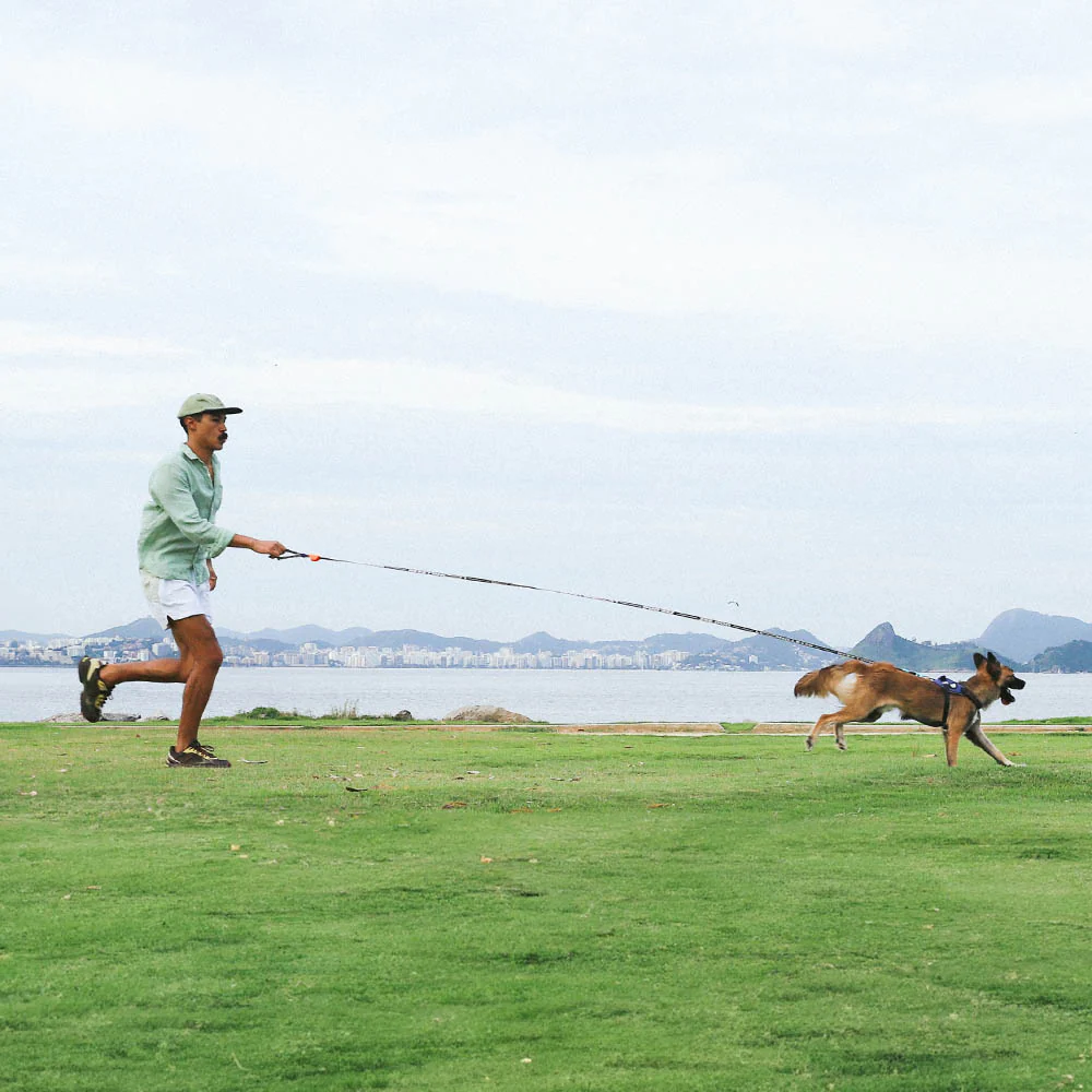 Leopard | Long Leash 1.0 - Image 5