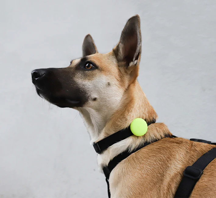 Lime | AirTag Holder - Image 4