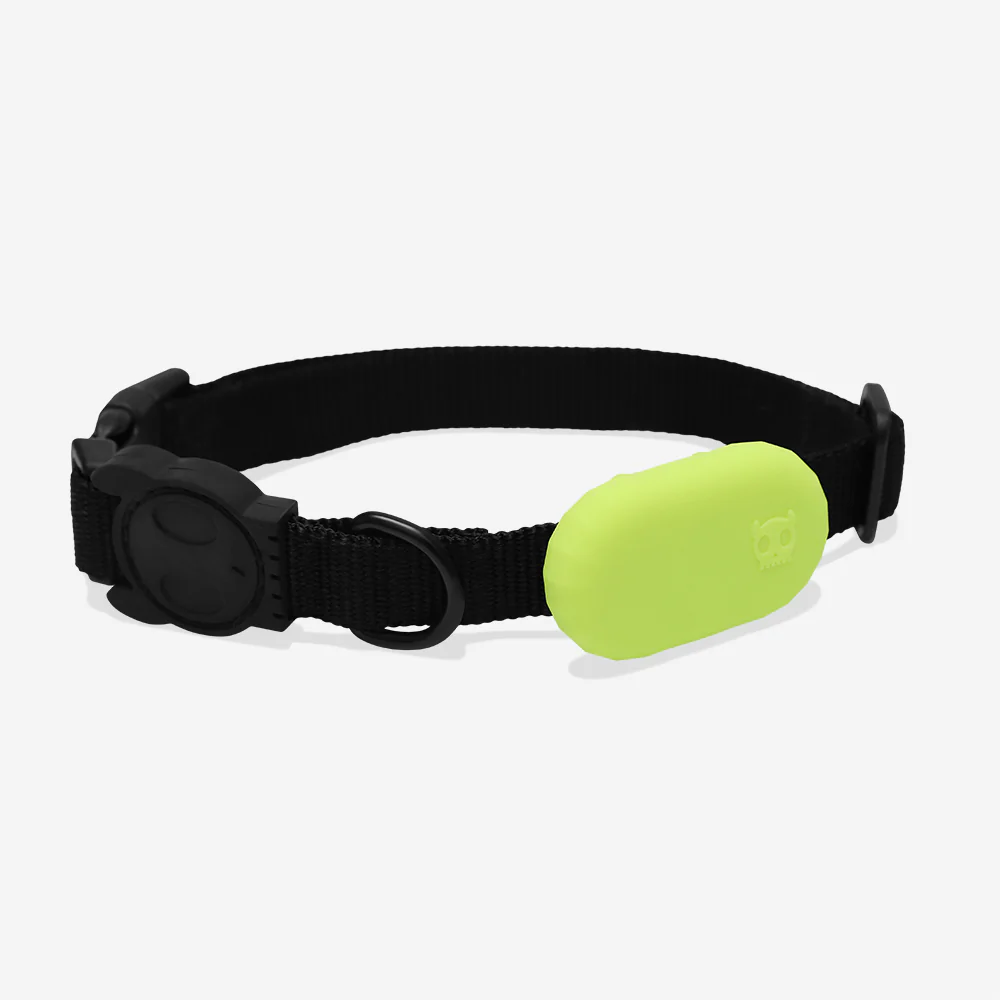 Lime | Galaxy Tag Holder - Image 2