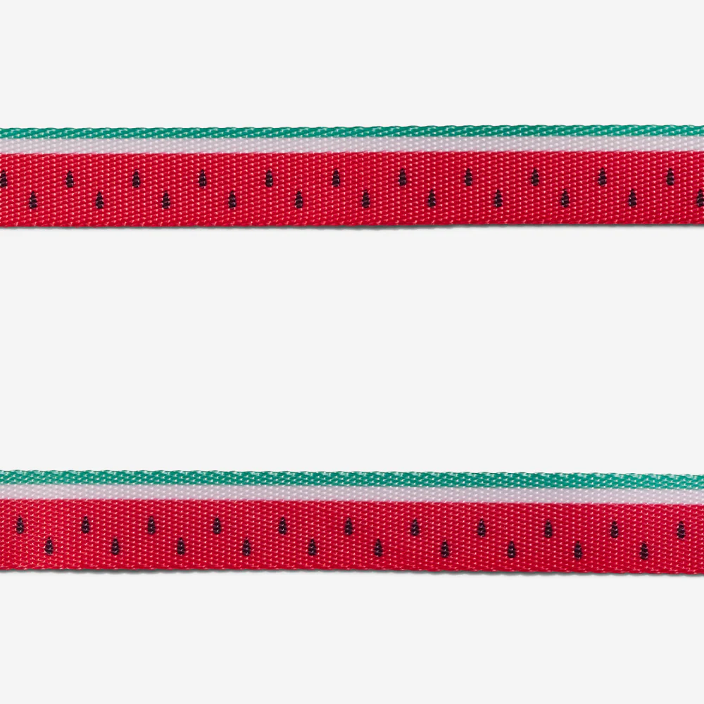 Lola | Cat Harness with Leash - Image 4