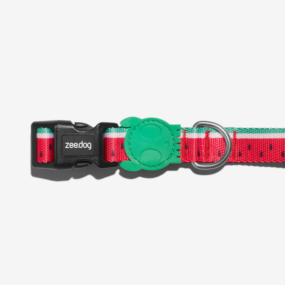 Lola | Dog Collar - Image 2