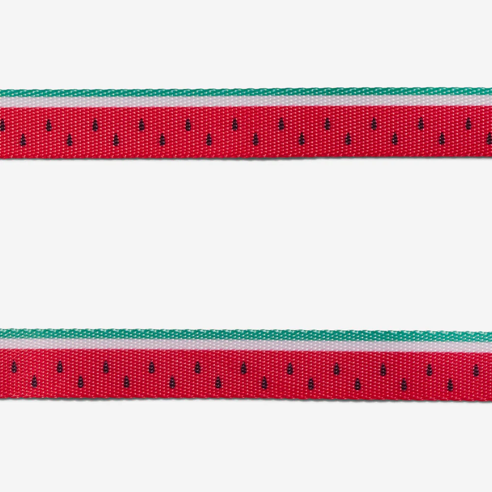 Lola | Dog Collar - Image 4