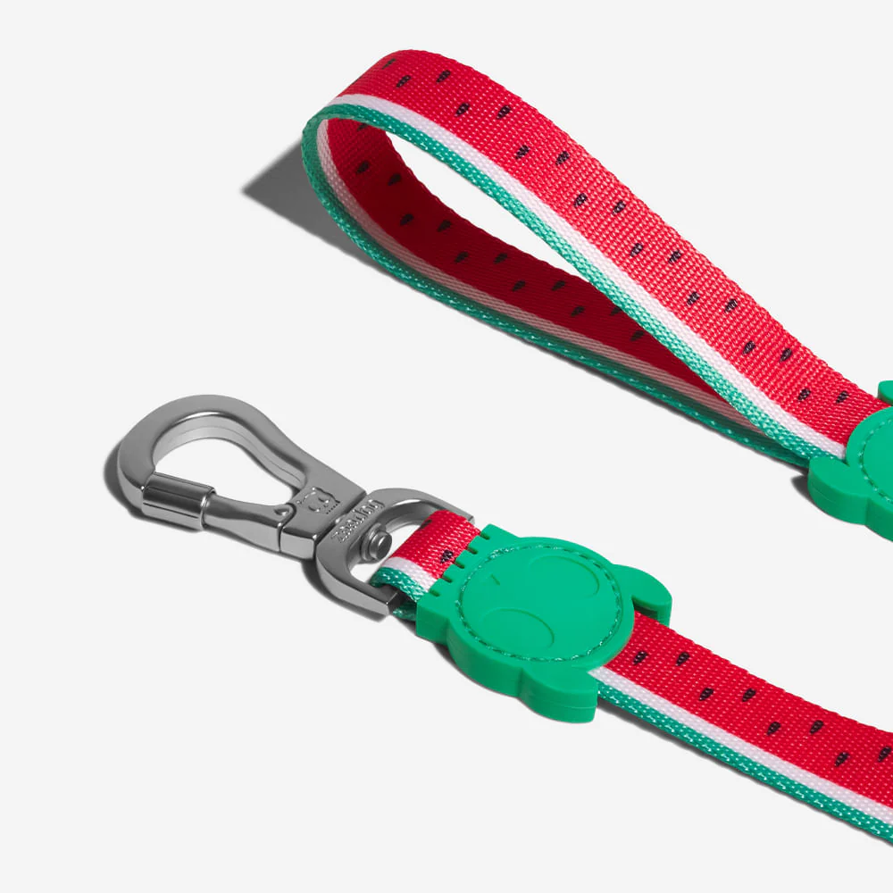 Lola | Leash - Image 3