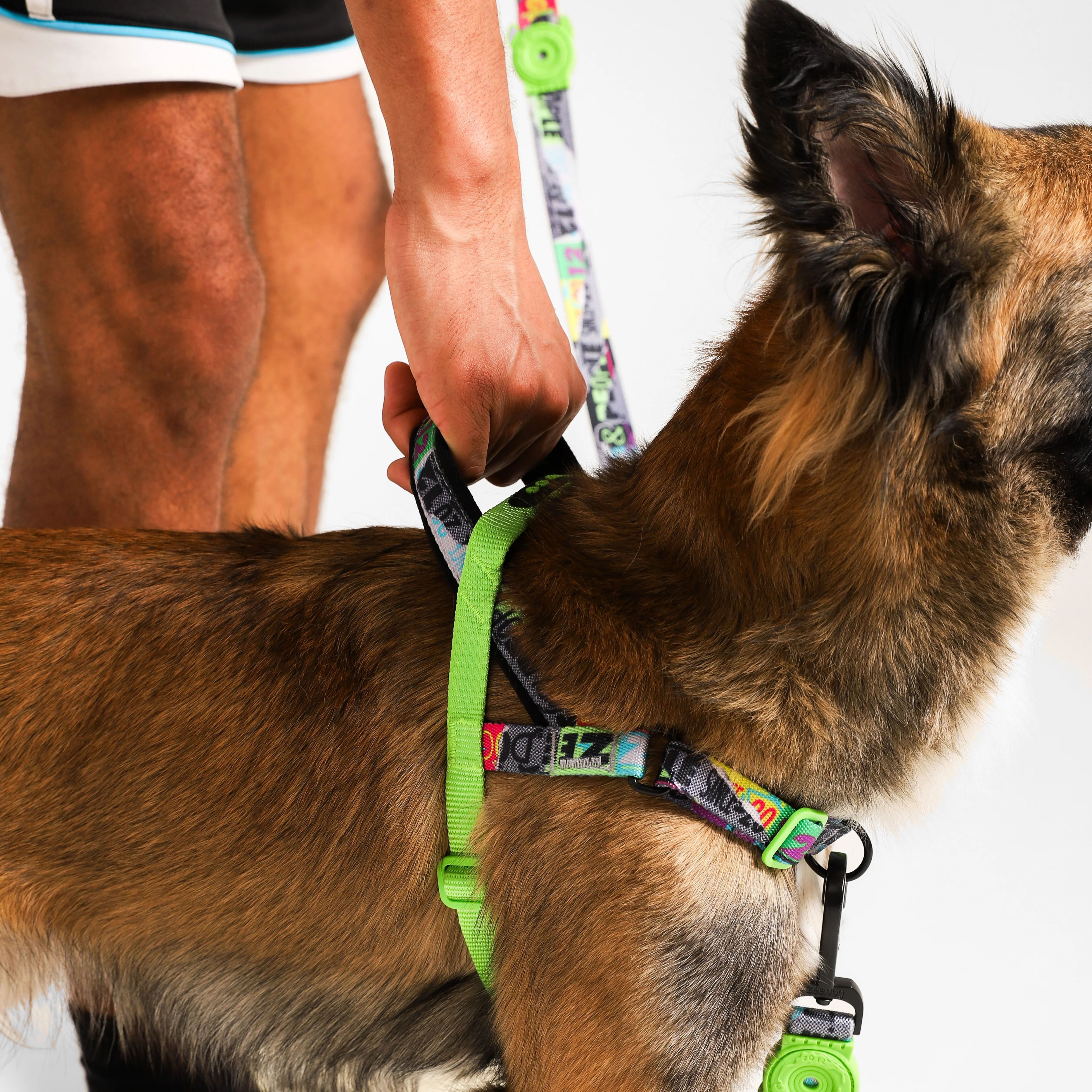 Manifesto | SofterWalk Harness - Image 3