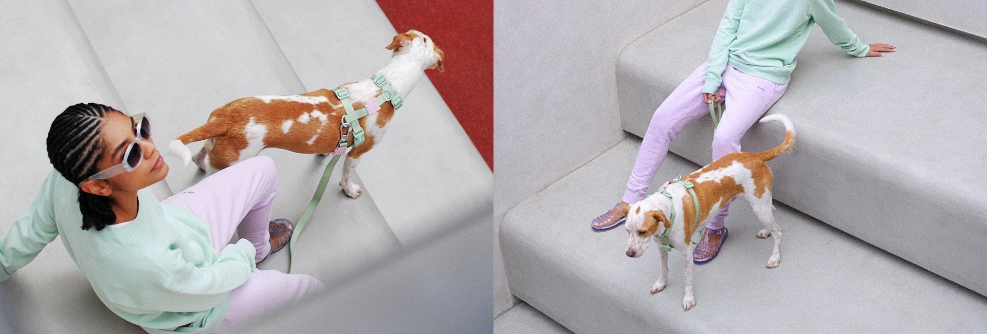 Melissa x Zee.Dog Olive Green | Leash - Image 10
