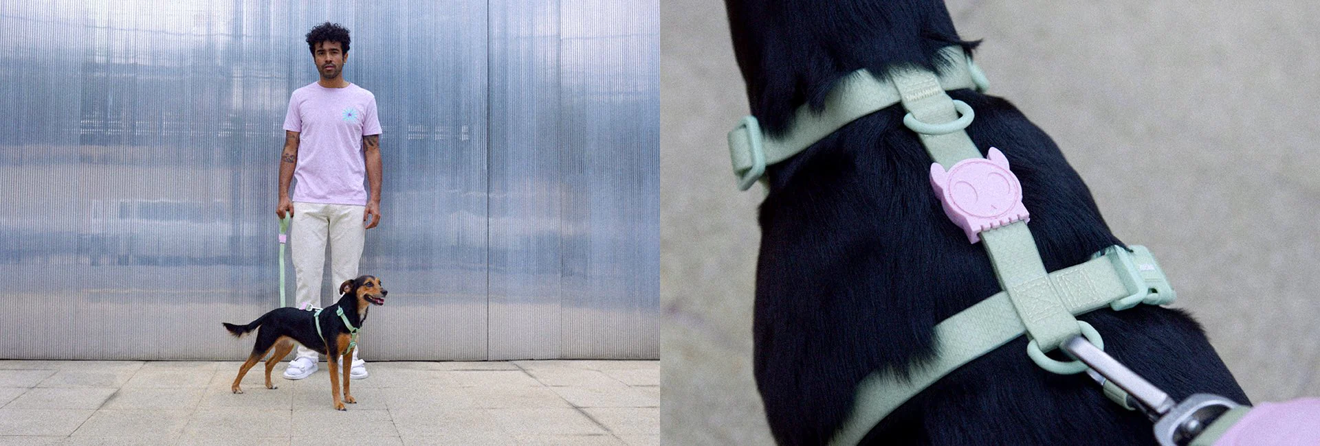 Melissa x Zee.Dog Olive Green | Leash - Image 11
