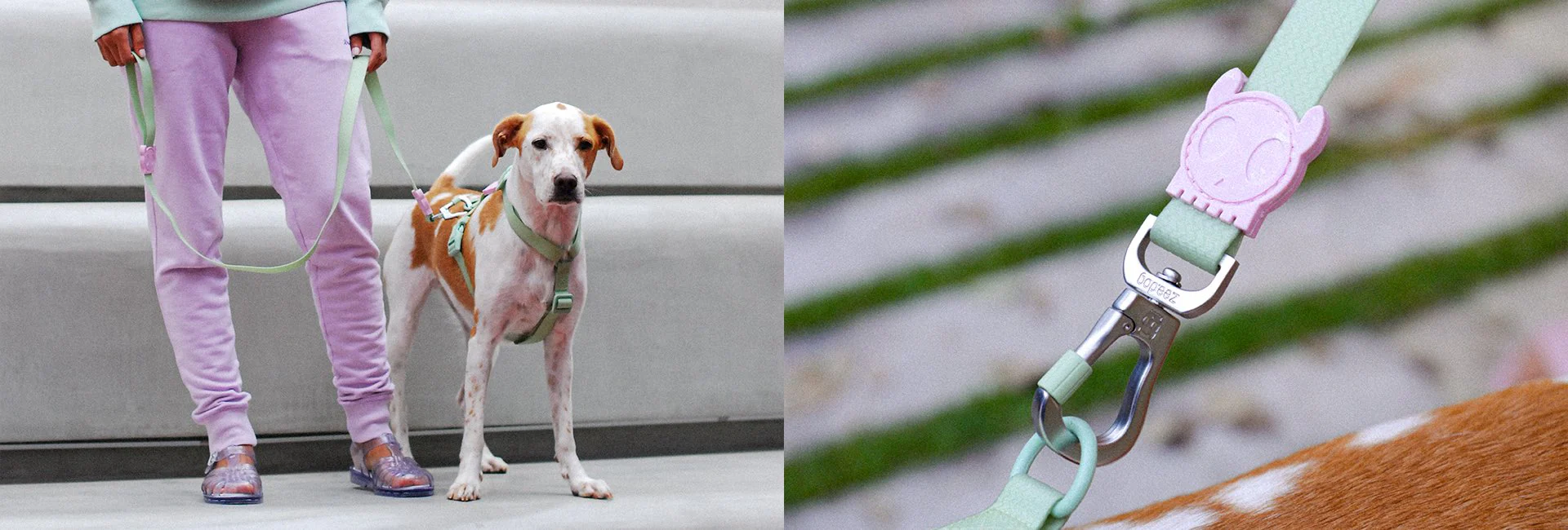 Melissa x Zee.Dog Olive Green | Leash - Image 12