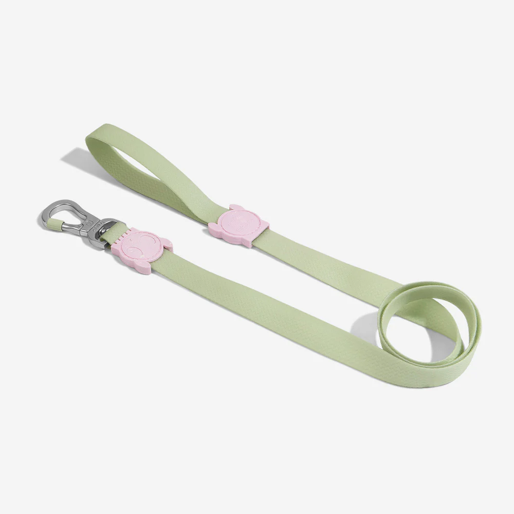Melissa x Zee.Dog Olive Green | Leash - Image 3