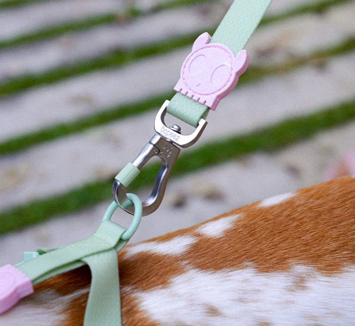 Melissa x Zee.Dog Olive Green | Leash - Image 7