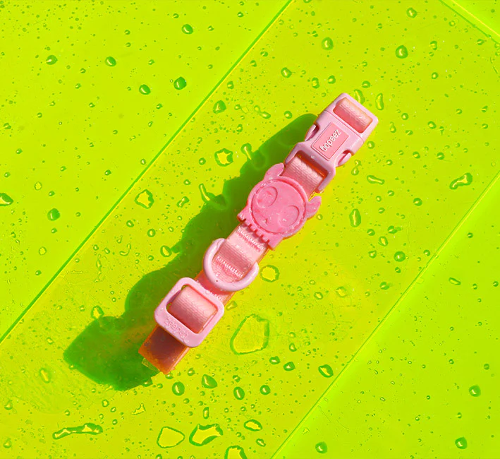 Melissa x Zee.Dog Pink Cameo | Collar - Image 4