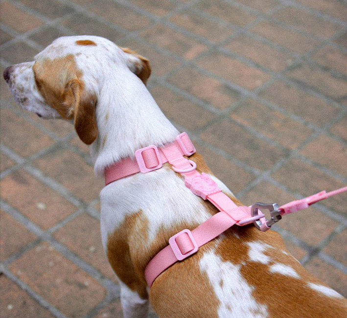 Melissa x Zee.Dog Pink Cameo | Collar - Image 7