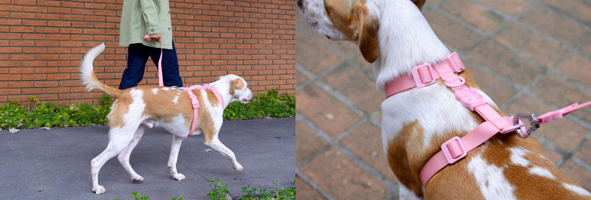 Melissa x Zee.Dog Pink Cameo | Leash - Image 10
