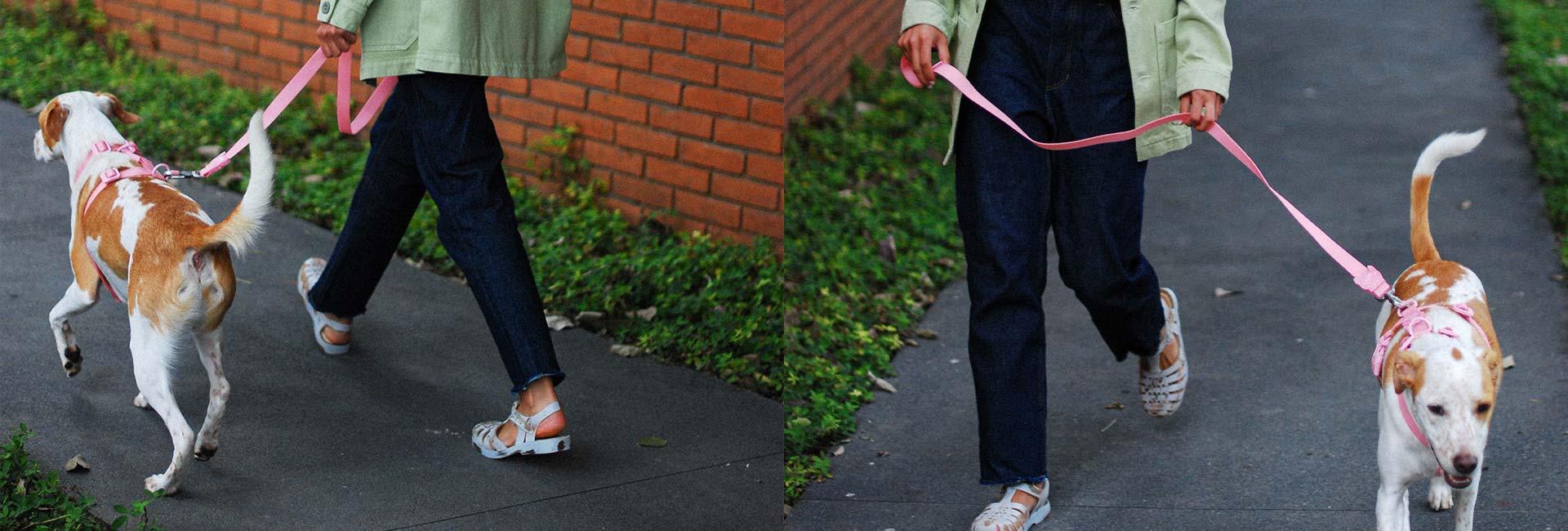 Melissa x Zee.Dog Pink Cameo | Leash - Image 9