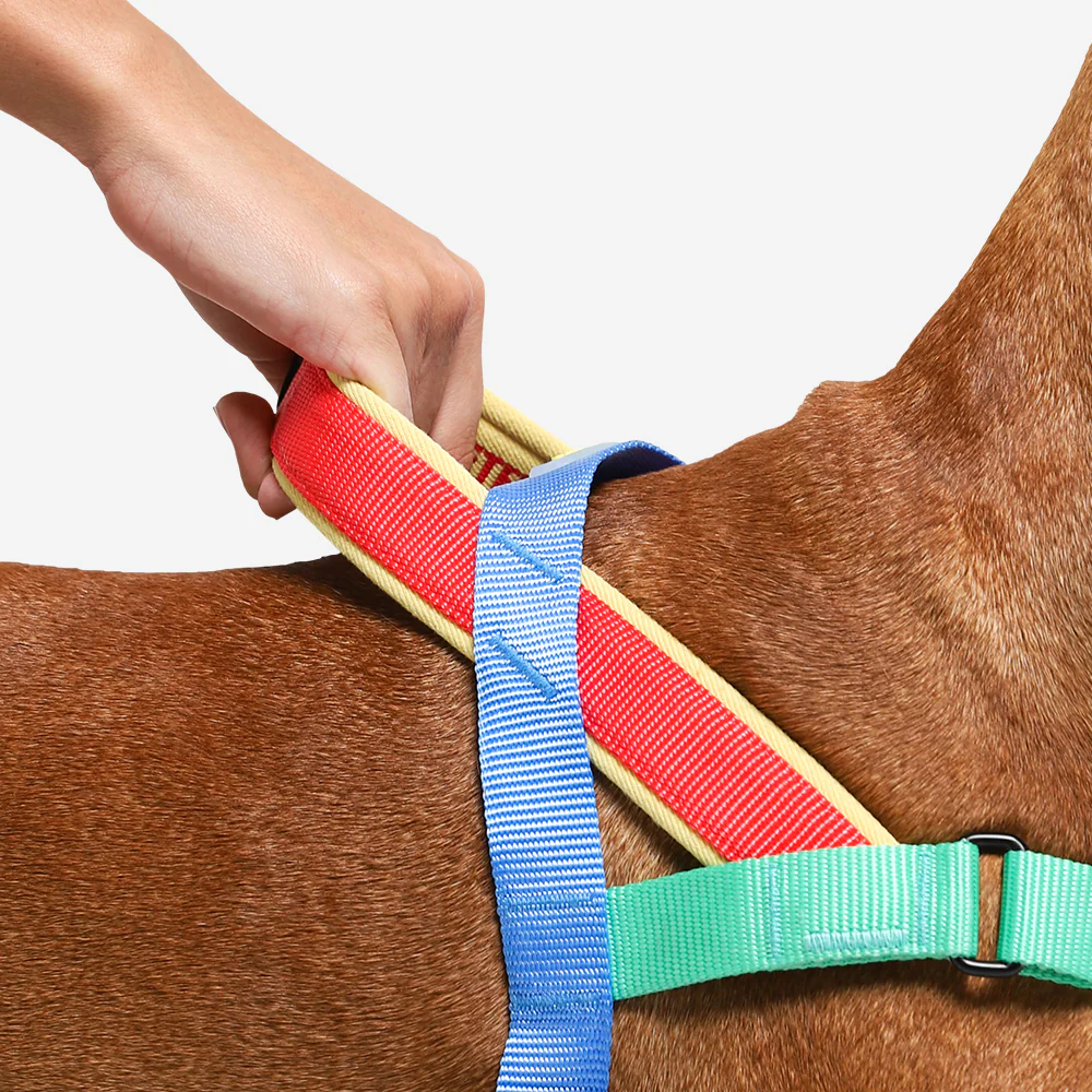 Mellow | SofterWalk Harness - Image 3
