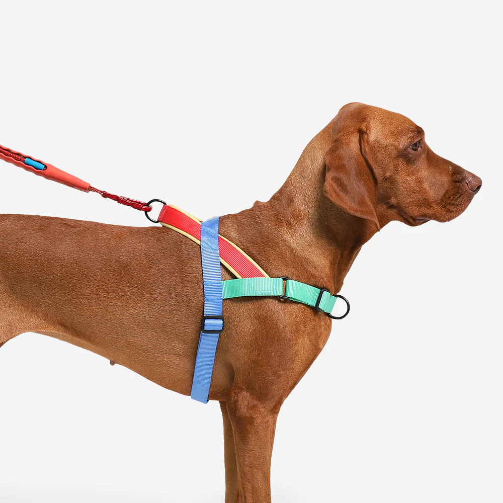 Mellow | SofterWalk Harness - Image 4