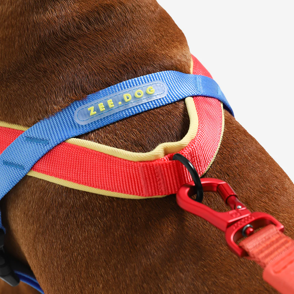 Mellow | SofterWalk Harness - Image 5