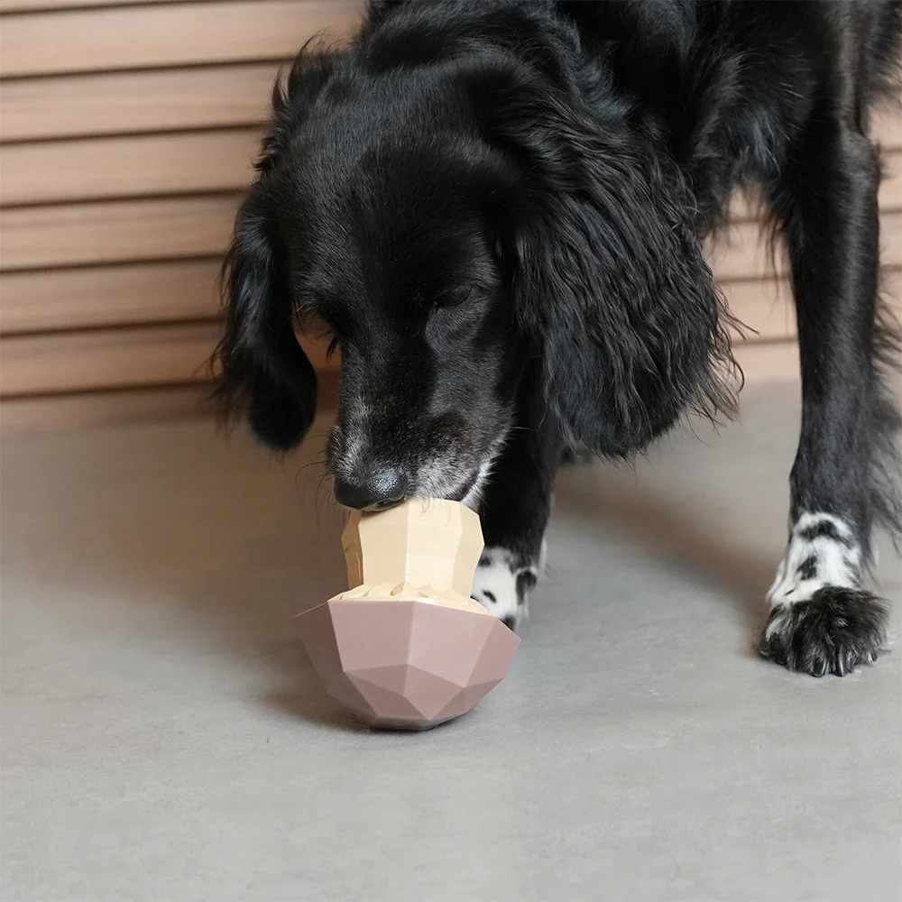 Mushroom  | Treat Dispensing Dog Toy - Image 4